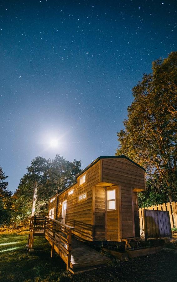 Umpqua'S Last Resort - Wilderness Cabins, Rv Park & Glamping Idleyld Park 외부 사진