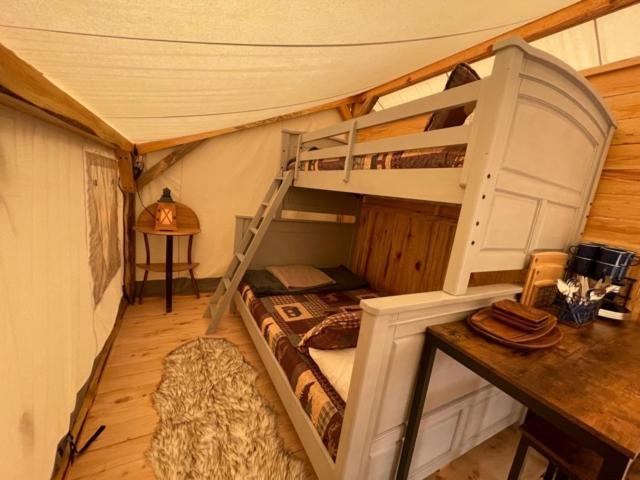 Umpqua'S Last Resort - Wilderness Cabins, Rv Park & Glamping Idleyld Park 외부 사진