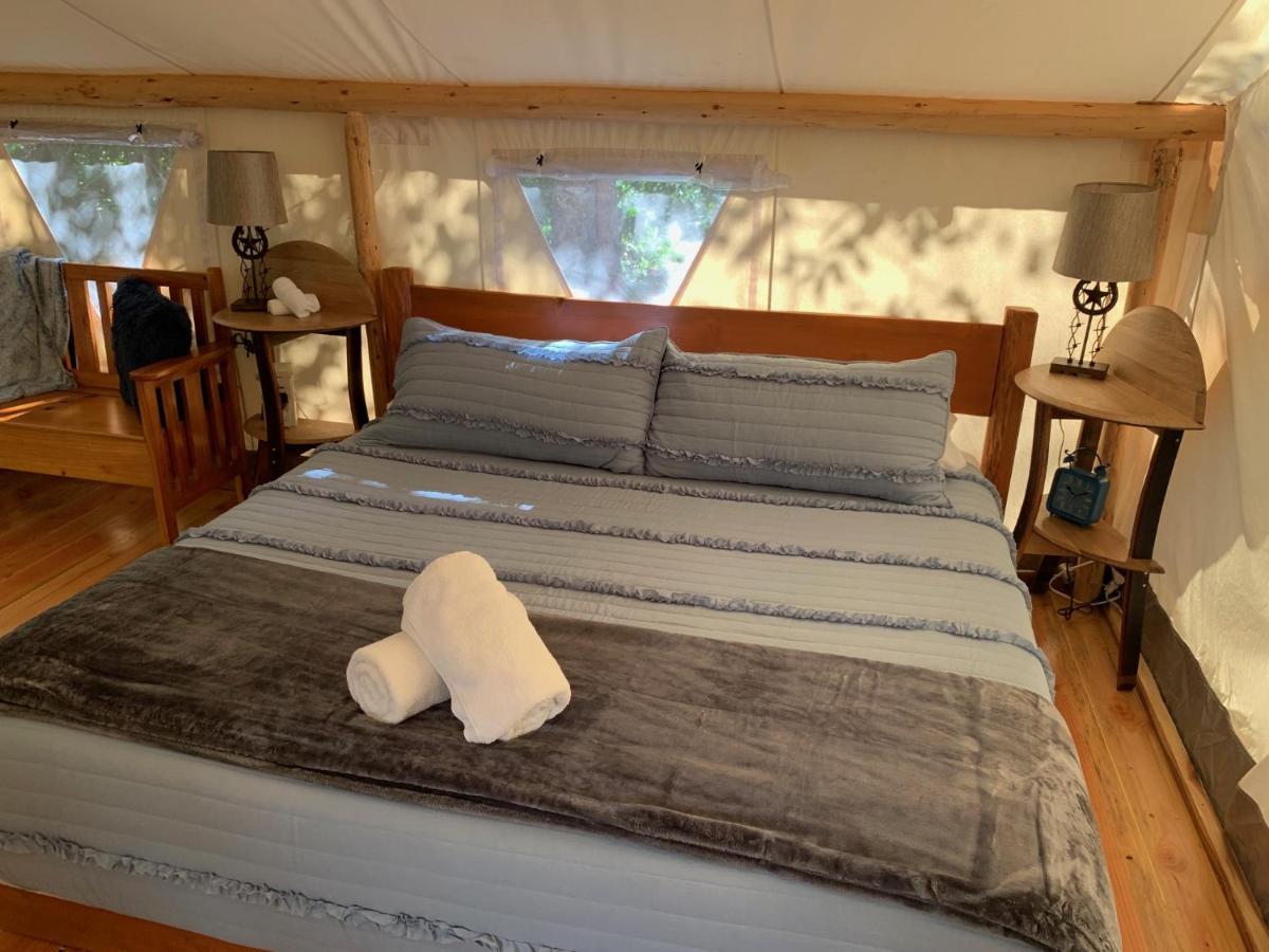 Umpqua'S Last Resort - Wilderness Cabins, Rv Park & Glamping Idleyld Park 외부 사진